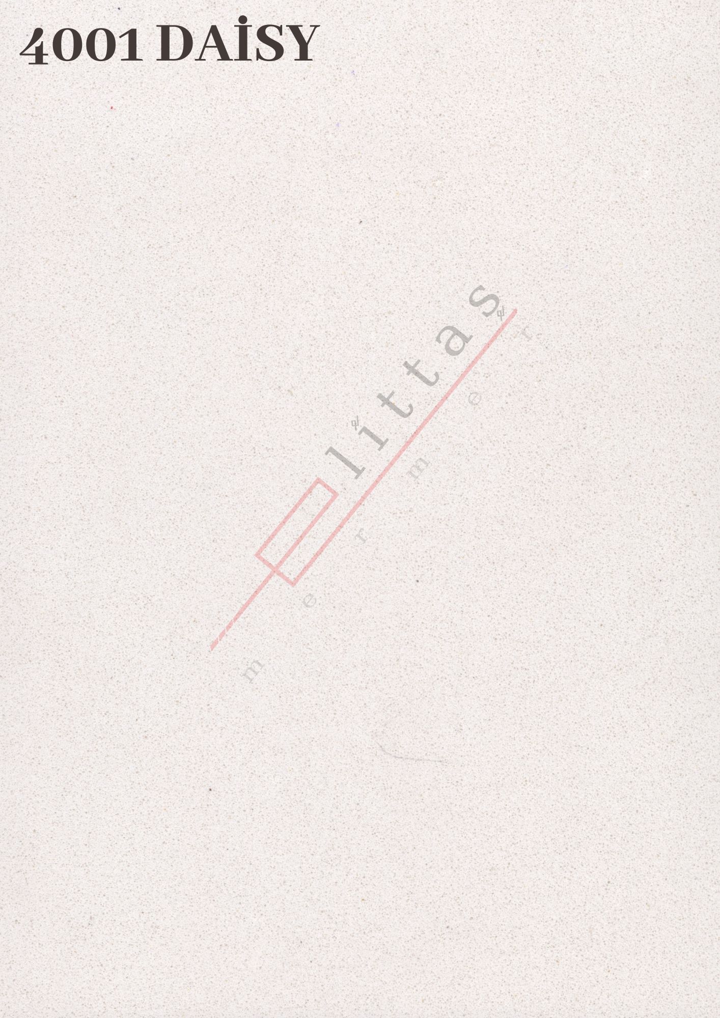 4001-daisy